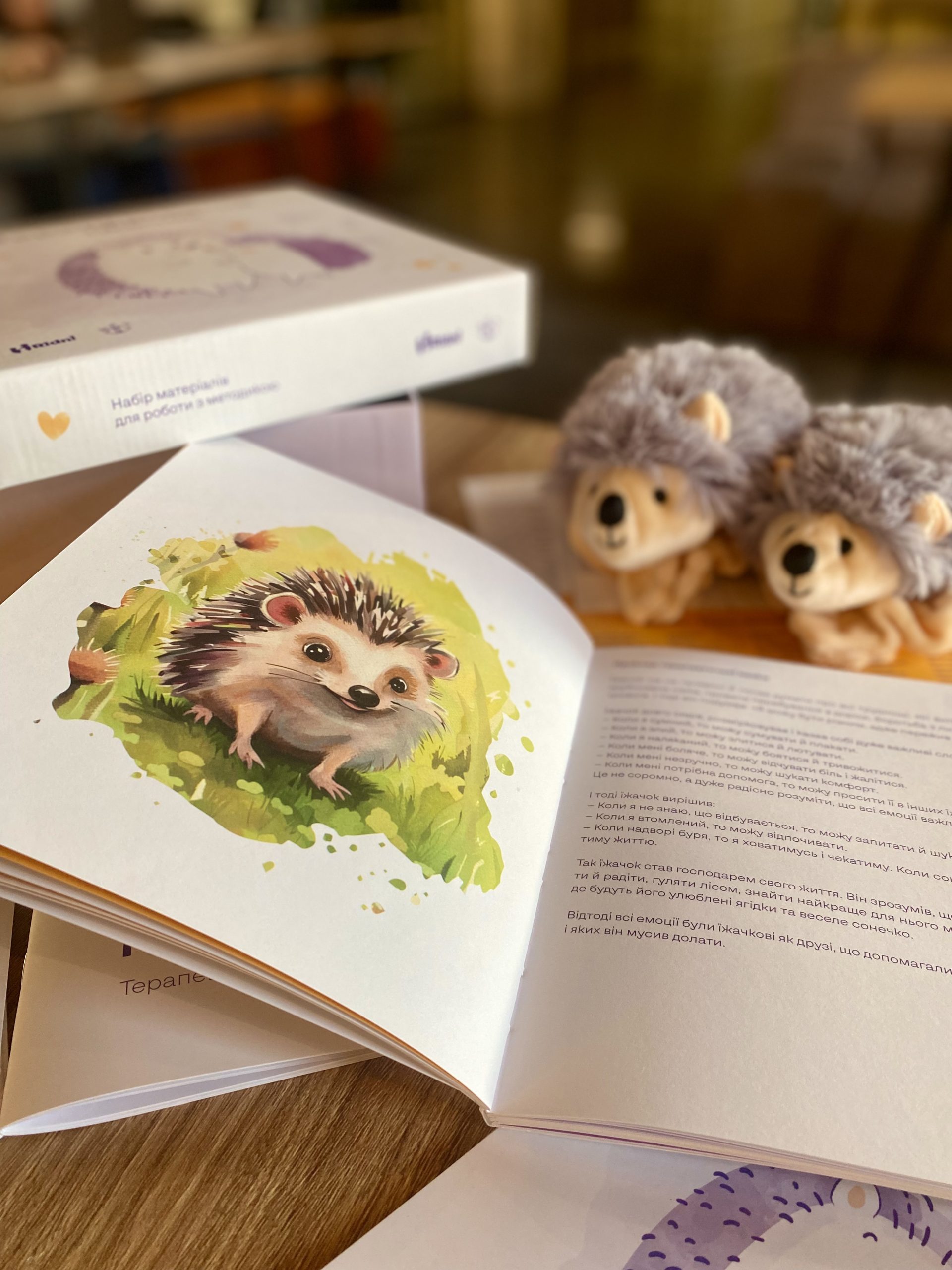 Команда команда фонду Методичний набір «Терапевтичний їжачок»